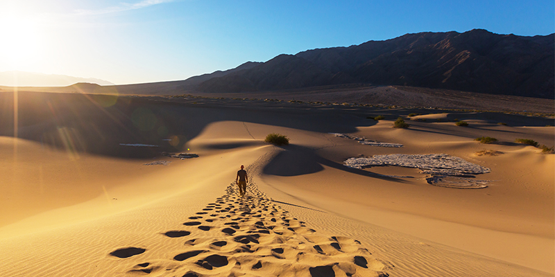 In the Footsteps of the Prophet SAW