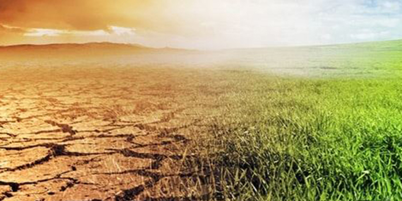 The Climate Change Conundrum